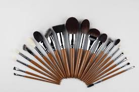 Yglam Brushset