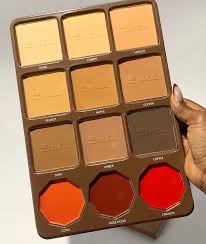 Zikel 12in1 Air Brush Luxe Palette