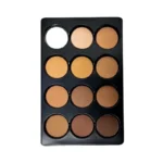 Micolor FIT 12-in-1 Powder Palette