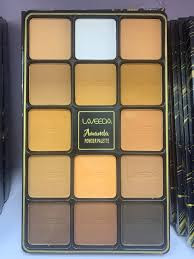 Laveeda 14in1 Powder Palette Amanda